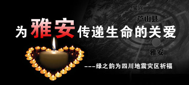 為雅安祈福——綠之韻用愛心行動守護雅安人民