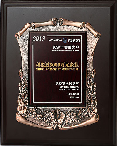 2013年長沙市利稅過5000萬元企業(yè)