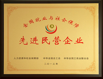 全國就業(yè)與社會保障先進民營企業(yè)