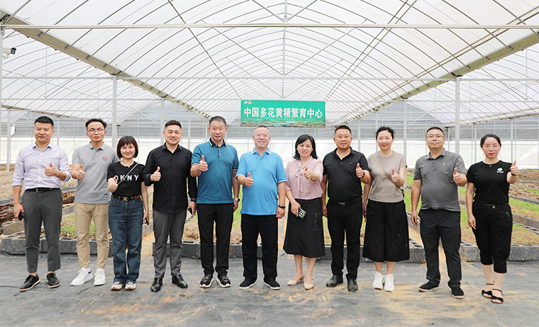 盡職履責 共謀家鄉(xiāng)產(chǎn)業(yè)振興 | 胡國安董事長考察安化黃精產(chǎn)業(yè)發(fā)展，助力鄉(xiāng)村振興造福桑梓